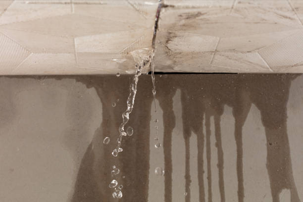 Professional Structural Drying technician working in Stanton, MI